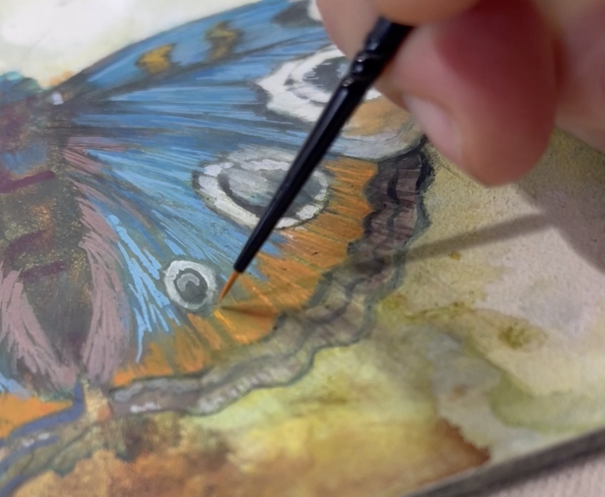 Painting the Butterfly